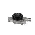 Airtex-Asc 92 Dodge Truck Water Pump, Aw7159 AW7159